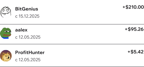 Partner payout history